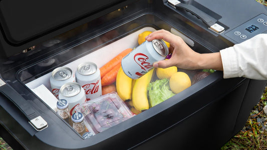 Tesla Dual Zone Fridge vs Dohome Fridge Y vs Cooler Y